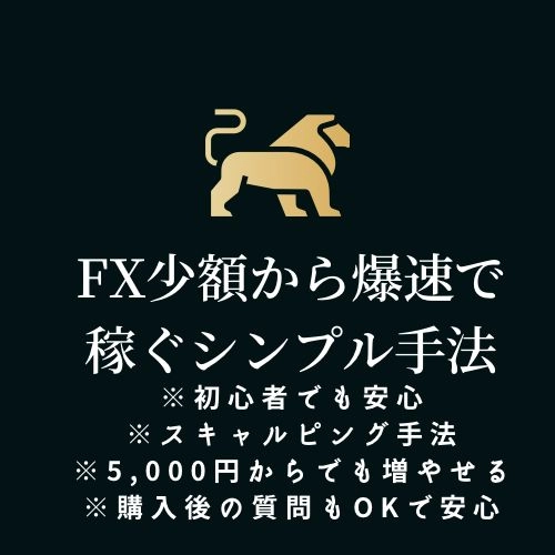 FX 少額から爆速で稼ぐシンプル手法（裏技？） レビュー