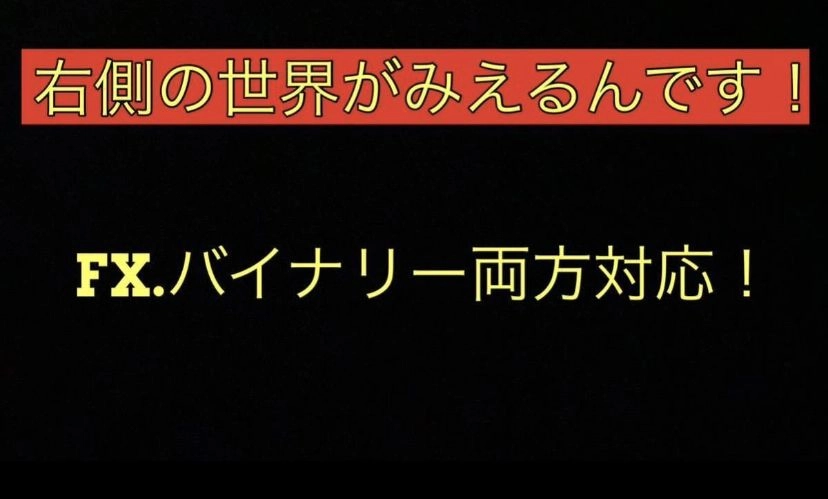 FX.BO両方対応！右側の世界が見えるんです！