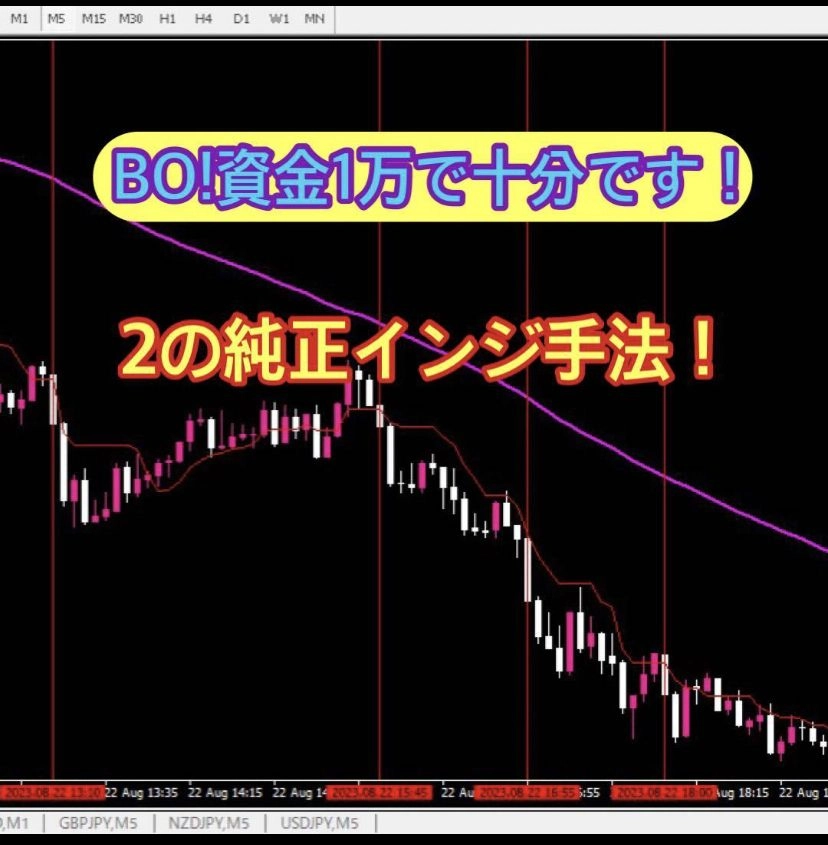 BO バイナリー専用手法！ MT4純正インジケーターで高勝率！ レビュー