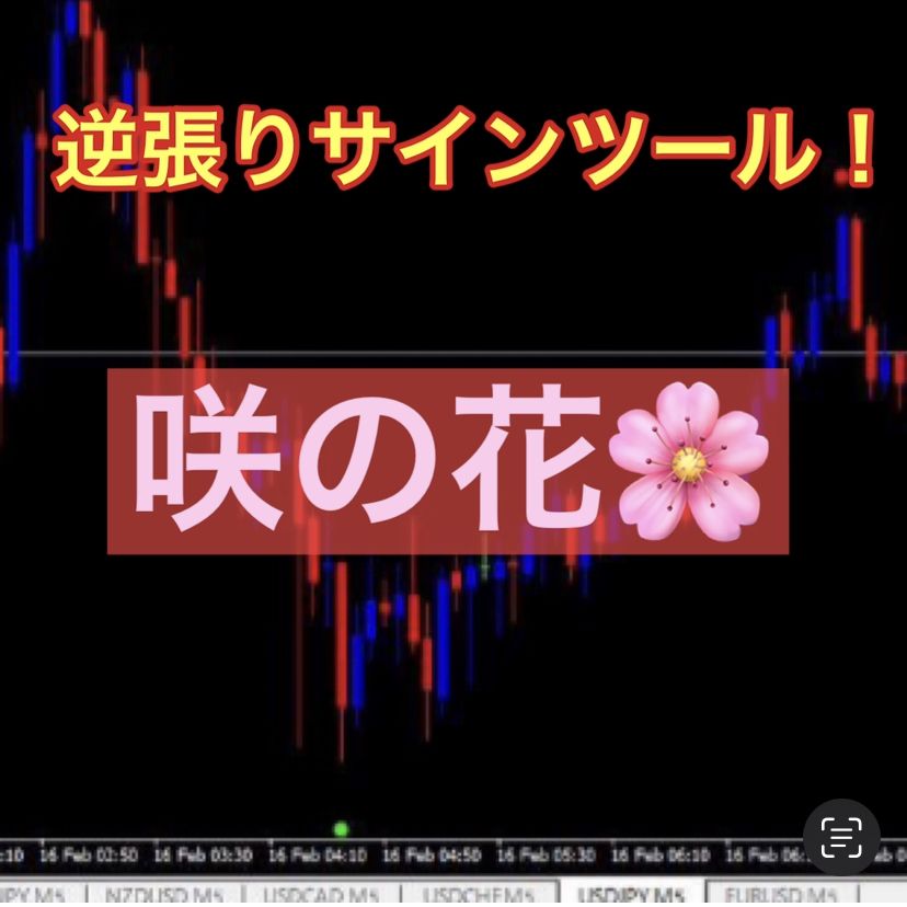 初心者、低資金から始める方、エントリーポイントを見極めたい方！に必須です！