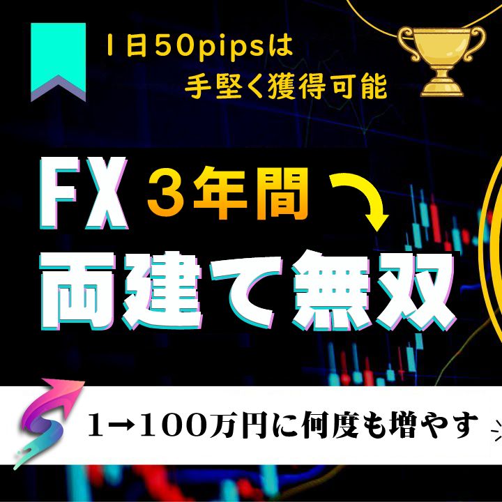 両建てによるFX革命 【FX両建て無双】 驚異の安定手法「両建てポイント」を明確にルール化