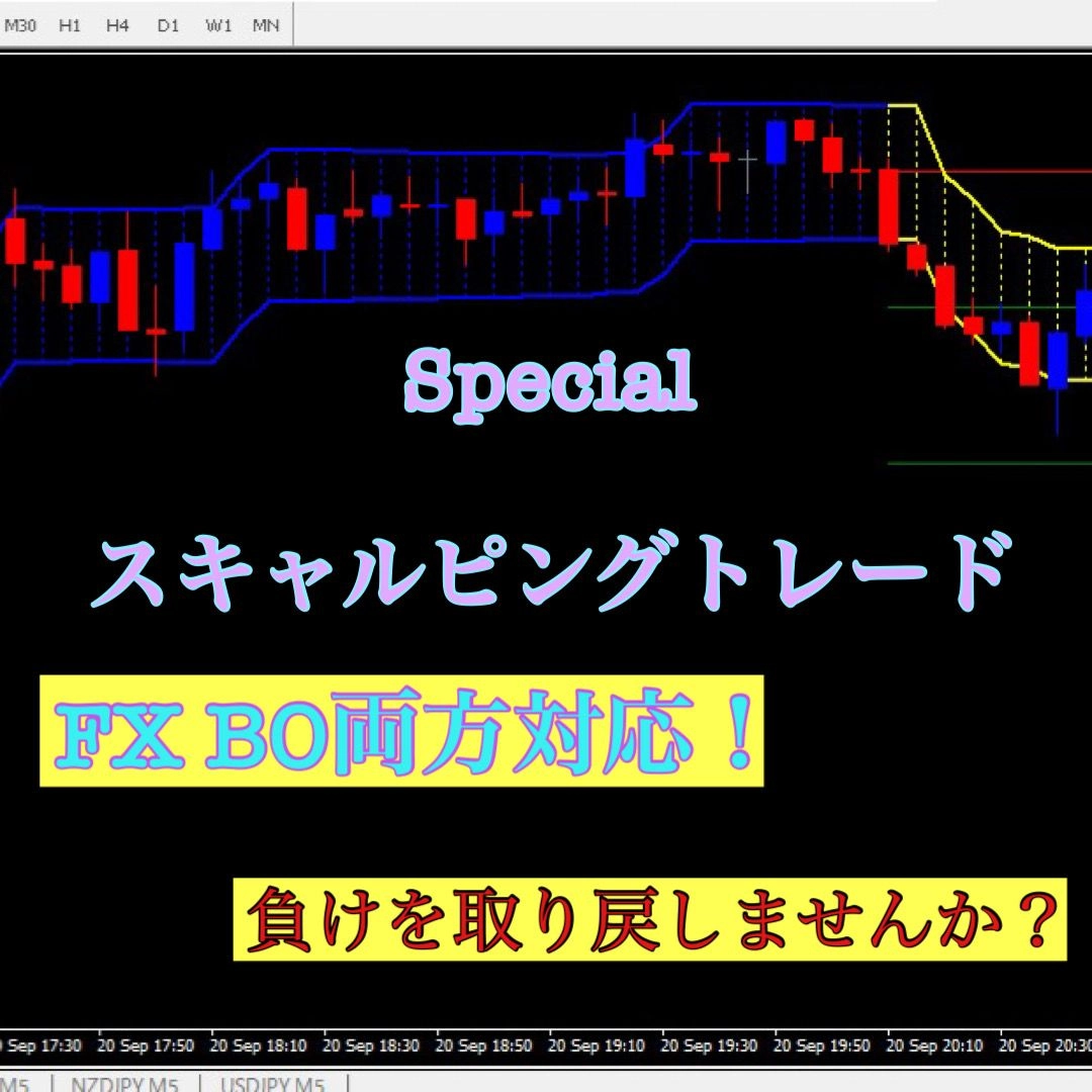 FX BO両方対応！スペシャルスキャルピング！ レビュー