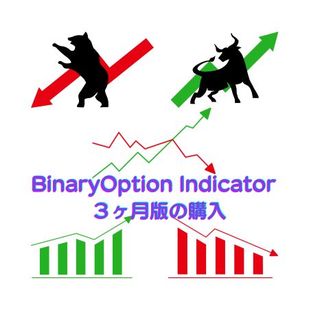 ３ヶ月版となります