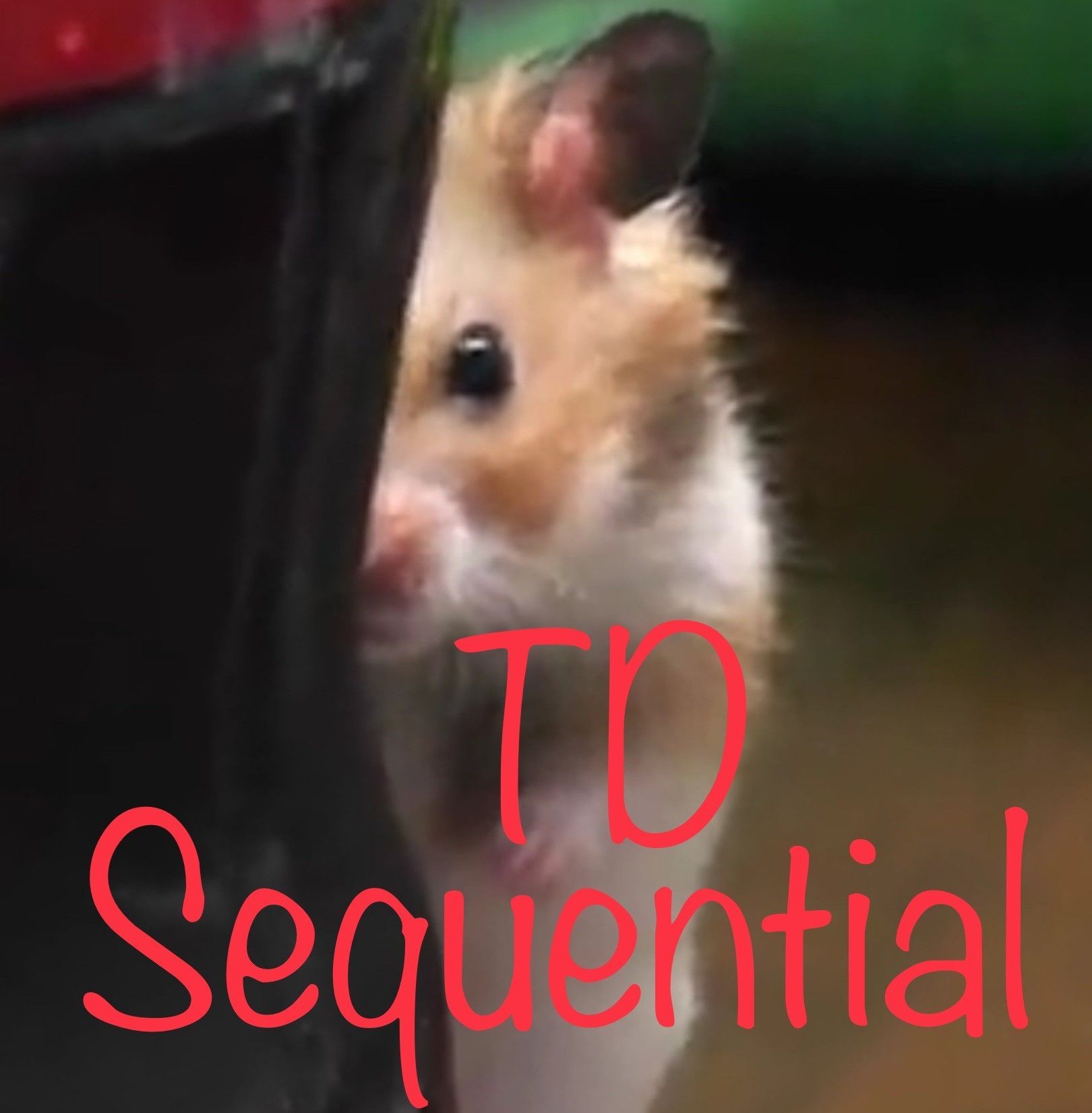 TDシーケンシャルの数値を正確に合わせて９・１３を見やすくフラクタルにしたものになります。