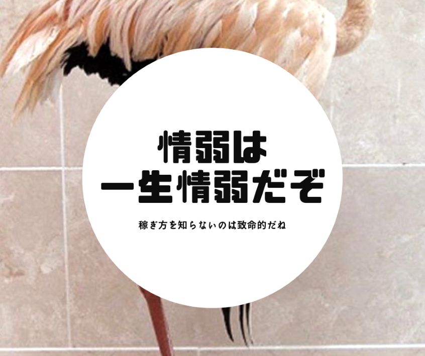 取引自体はワンショット低資金でも取引が可能