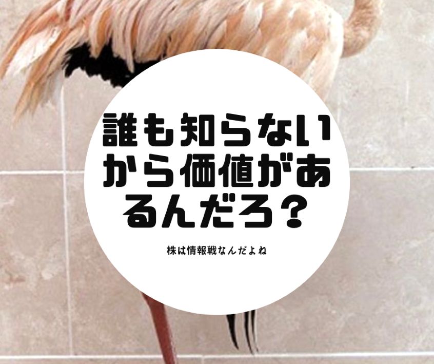 個人投資家でも可能な非常に面白いものかと思います。内部の人間しか知りません。