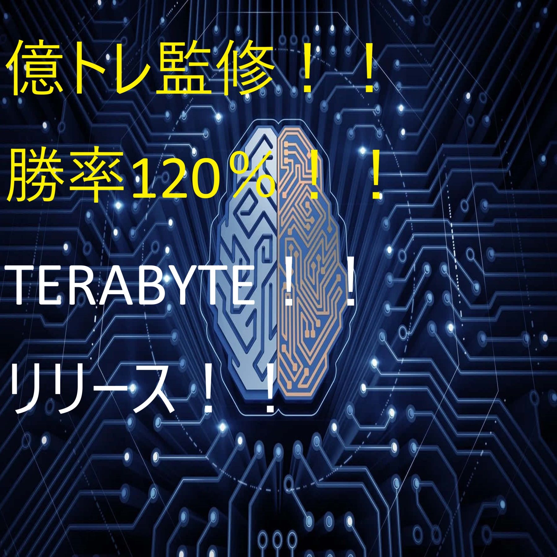 こちらの商品は億トレ監修商品であり、実際に億トレである私が過去に使用していたロジックをサイン化しました。