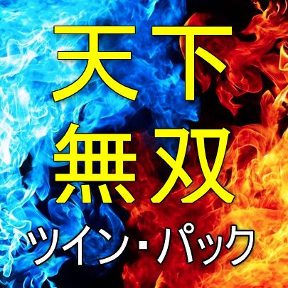 最強の裁量補助インジケーターシステムとの呼び声高い、「天下無双」シンクロシステムのコアインジケーターのツインパックです。