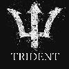 億トレーダー監修【TRIDENT】+相場急騰急落検知システム+急騰急落自動フルピラミッディング+短期間で爆含み益期待♪+スマフォ通知機能付き♪