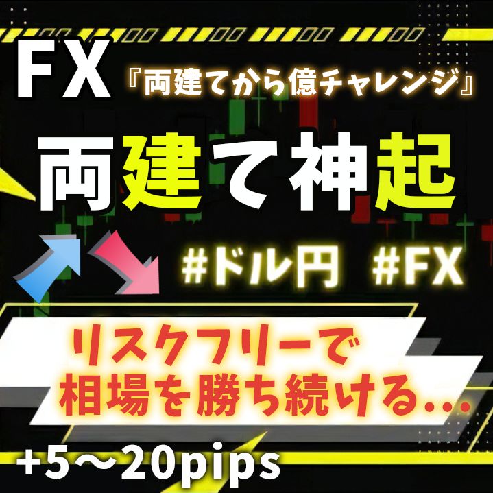 最高峰のFX両建て神起手法 全ての通貨ペア×1分足・5分足 両建てとしては業界随一！！これが最後の手法
