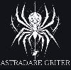 億トレーダー監修【ASTRADARE GRITER】上に行っても下に行っても無限利益期待+1DAY/100PIPS