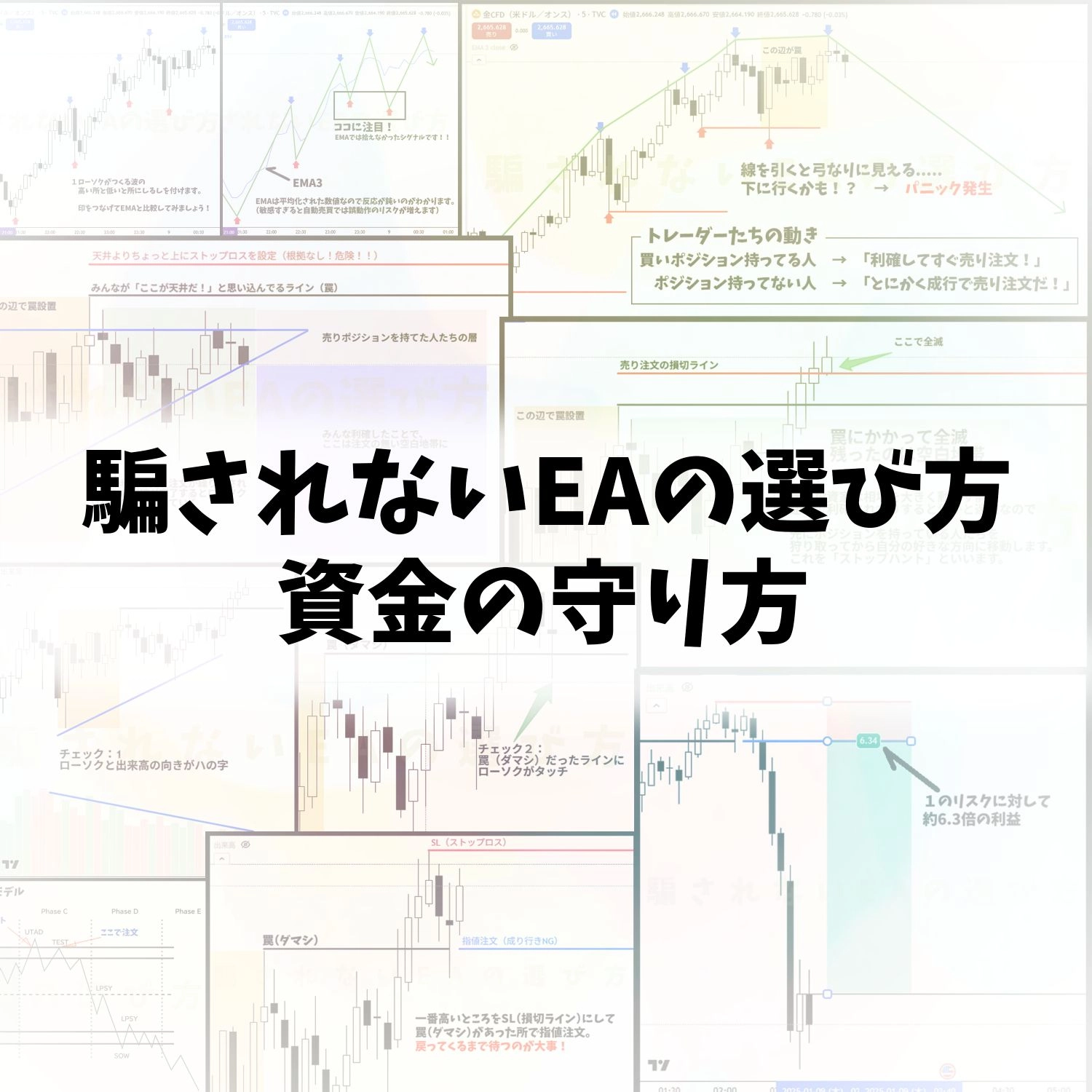 騙されないEAの選び方・資金の守り方レビュー｜FX自動売買の防衛力を解説