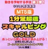 【MT5版】※GOLD相場推奨※あっという間に積み上がる！？【1分足超速スキャルピングGOLD】